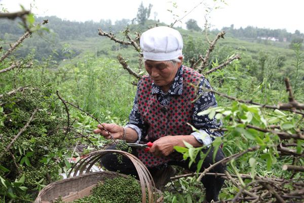 如何在Lazada平台快速出单？测评助力商家突破销量瓶颈