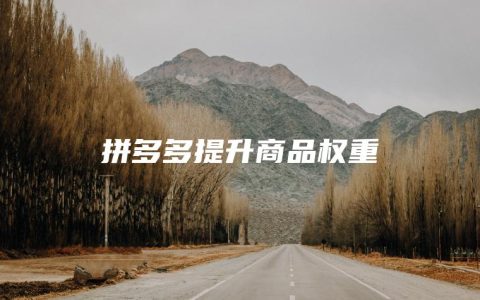 拼多多补流量是什么意思_拼多多补流量有用吗_