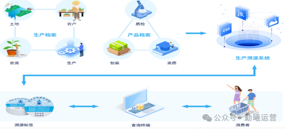 跨境电商新闻资讯_新闻跨境资讯电商网站_新闻跨境资讯电商发展现状