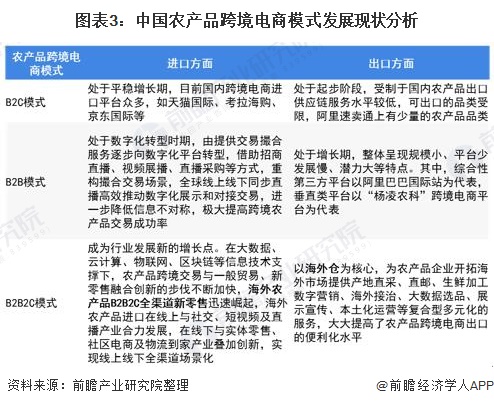 图表3：中国农产品跨境电商模式发展现状分析