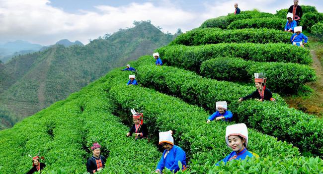 万达电商 最新资讯_万达电商平台_万达信息新闻